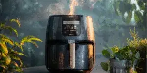 Read more about the article Air Fryer Buying Guide for Indian Kitchens (2025)  – How to Choose the Best Air Fryer